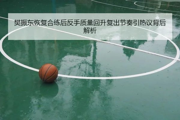 樊振东恢复合练后反手质量回升复出节奏引热议背后解析