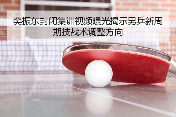 樊振东封闭集训视频曝光揭示男乒新周期技战术调整方向